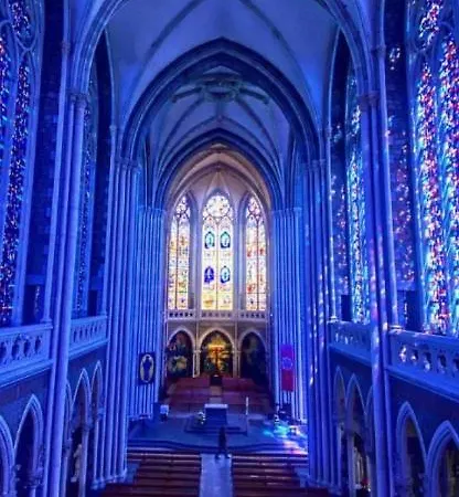 Les Hirondelles De La Des Roses 3* Pontmain