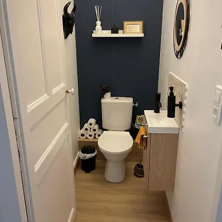 Les Hirondelles De La Des Roses